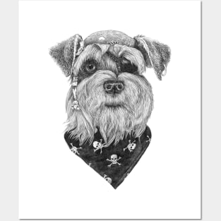 Pirate Schnauzer Posters and Art